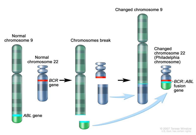 Childhood Cancer Genomics (PDQ®) - PDQ Cancer Information Summaries - NCBI  Bookshelf