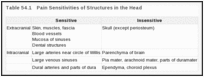 表54.1。头部结构的疼痛敏感性。