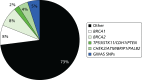 FIGURE 7. Proportion of the familial excess risk accounted for by known genes or variants in 2008.