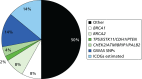 FIGURE 8. Proportion of the familial excess risk accounted for by known genes or variants in 2014.