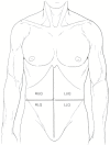 Figure 80.1. The abdominal quadrants; right upper, right lower, left upper, and left lower.