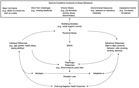 Biobehavioral Factors in Health and Disease - Health and Behavior ...