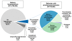 Figure 1 is two pie charts, one showing the distribution of all delivery hospitalizations with and without hypertension-related diagnoses and the other showing the distribution of deliveries by type of preeclamsia/eclampsia. Total delivery hospitalizations: 3,796,490; no hypertension: 3,386,995, 89.2%; preeclampsia, eclampsia: 176,925, 4.7%; pre-existing hypertension: 63,920, 1.7%; gestational hypertension: 145,720, 3.8%; unspecified hypertension: 22,930, 0.6%. Total deliveries with preeclampsia/eclampsia: 176,925; mild or unspecified preeclampsia: 82,910, 46.9%; severe preeclampsia: 65,880, 37.2%; preeclampsia/eclampsia with pre-existing hypertension: 25,625, 14.5%; eclampsia: 2,510, 1.4%.