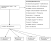 Figure 2. Reference flow diagram.