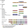 Figure 1. Schematics of domains in 'exosomes' from bacteria, archaea and eukaryotes.