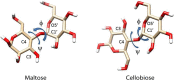 FIGURE 3.2.. Repeating units from cellulose and starch showing conformation determining glycosidic torsion angles ϕ and ψ.