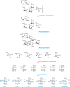 FIGURE 50.2.. An example of linkage analysis showing a bacterial O-linked branched hexasaccharide with a sequence of Rha1-3Glc1-(Glc1-3GlcNAc1-)2,6Glc1-6GlcNAc.