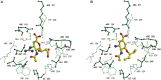 FIGURE 55.6.. Crystallographic structures of influenza virus neuraminidase (N9 subtype) with two different rationally designed inhibitors bound in the active site.