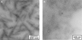 FIGURE 59.2.. Transmission electron microscopy images showing two types of cellulose nanomaterials.