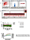 Figure 1. High throughput screen identifies small molecule activators and inhibitors of Ras GTPase superfamily.