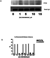 Figure 6. MLS000088004 has no effect tyrosine phosphorylation of Syk and ligand-stimulated β-hexosaminidase secretion of RBL cells.