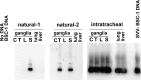 Fig. 58.7