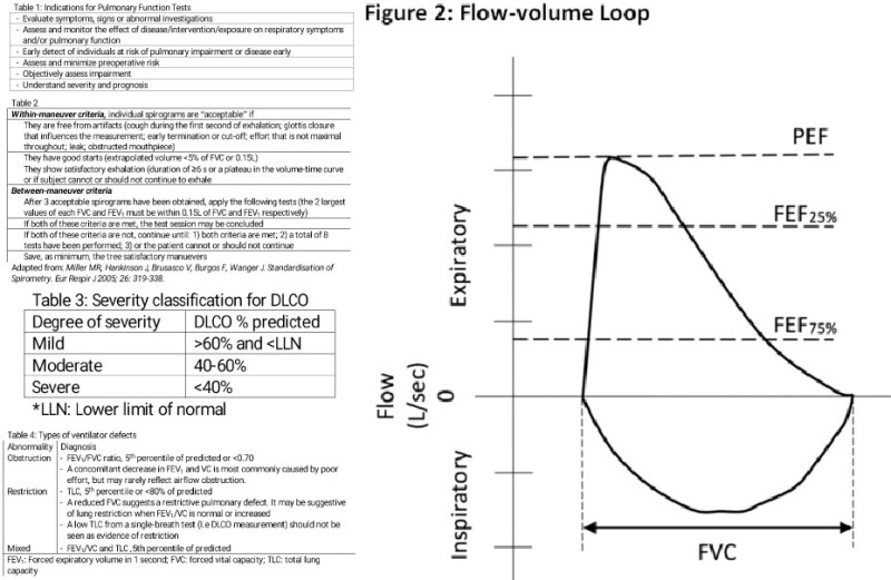 Figure, Pulmonary Function Test. Contributed by Mario Ponce