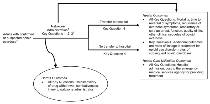 The analytic framework depicts the relationship between the population, intervention, outcomes and harms of naloxone administration by emergency medical services personnel. The far left of the framework describes the target population for treatment as adults with confirmed or suspected opioid overdose. To the right of the population is an arrow representing the administration of naloxone. The administration of naloxone arrow has four arrows coming out of it. The first represents the harms of administration including rates/severity of drug withdrawal, combativeness and injury to naloxone administrator. The second leads directly to the health and healthcare utilization outcomes. Health outcomes include: mortality, time to reversal of symtoms, respiratory or cardiac arrest, function, quality of life, other clinical sequelae of opioid overdose, rates of linkage to treatment for opioid use disorder, and rates of subsequent opioid overdoses. Healthcare utilization outcomes include hospital admission and cost to the emergency medical services agency for providing treatment. The two additional routes from the naloxone administration arrow to the health and healthcare utilization outcomes symbolize the transfer to hospital or no transfer to hospital.