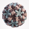Pathology, 3D graphical representation of Norovirus virion, Virus, Norwalk-like viruses Contributed by Jessica A