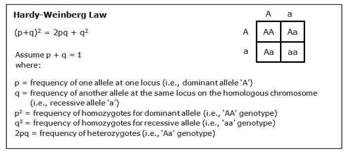 how to determine which allele is dominant