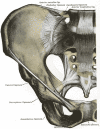 Figure showing the anatomy of the pelvic bone (A), the pelvic