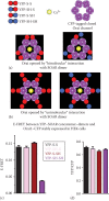 Figure 7.4. Evidence for a “unimolecular” interaction between the SOAR dimer and the Orai1 subunit within hexamer.