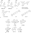 Figure 13.5. Chemical structures of known TRPV6 inhibitors: (a) heterocyclic compounds and (b) 2-APB analogs.