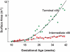  Figura 4.1. Áreas de superficie placentaria a diferentes edades gestacionales.