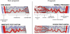  Figura 4.3. Illustrazione della vascolarizzazione uterina e placentare nello stato post-parto non gravido, gravido e immediato.