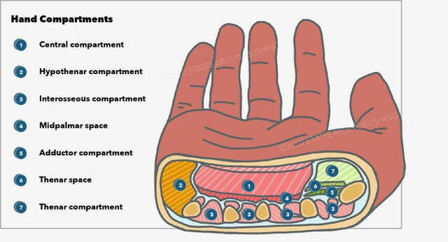 hand compartments
