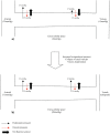 FIGURE 19.2. Capillary fluid exchange, a) in normal physiological circumstances, b) in the case of raised extracellular tissue pressure, as in acute limb compartment syndrome.