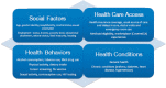 FIGURE 3-1. The California Health Interview Survey (CHIS) examines not only health conditions and behaviors but the social and economic factors that can affect those conditions and behaviors.