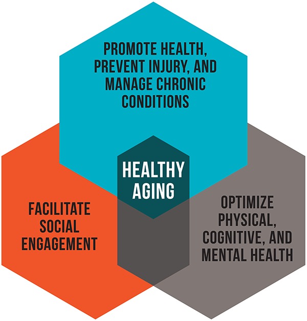 Figure 1 Guiding Model For Healthy Aging Healthy Aging In Action Ncbi Bookshelf 3593