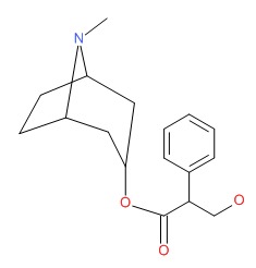 Atropine Livertox Ncbi Bookshelf