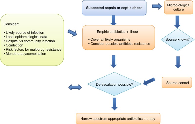 septic shock pathophysiology flowchart