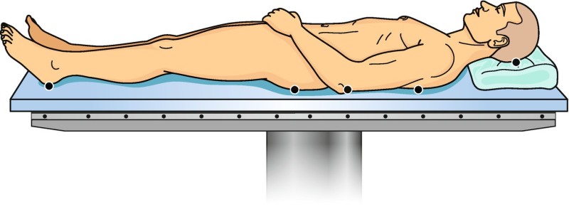File:Supine position.gif - Wikimedia Commons