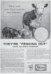 FIGURE 3.2. Boundaries between AGPs and therapeutics soon blurred. Pfizer advertisement, Farm Journal and Country Gentleman, 1956.