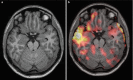 Fig. 10.4