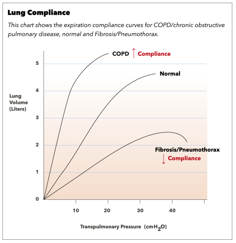 figure-lung-compliance-statpearls-ncbi-bookshelf