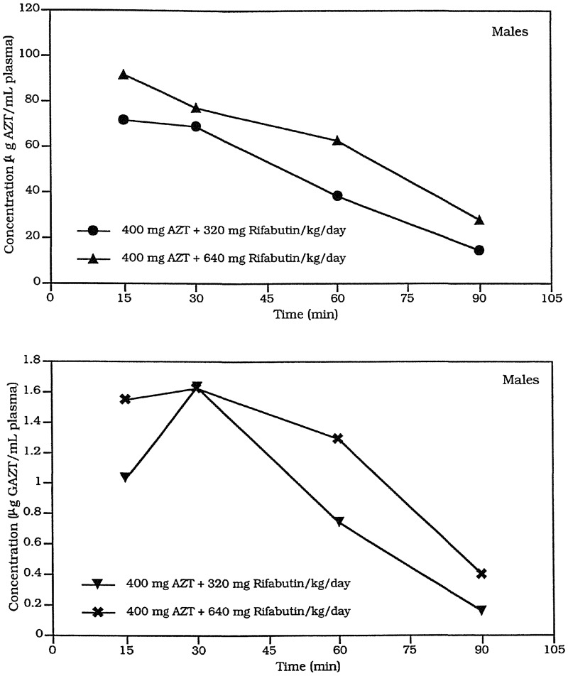 Figure 11 Plasma Concentrations Of Azt And Gazt For Male Mice In The Reproductive Developmental And General Toxicity Study Of Azt And Rifabutin Combinations Niehs Technical Report On The Reproductive Developmental