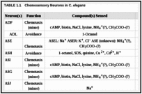 TABLE 1.1. Chemosensory Neurons in C. elegans.