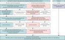 FIGURE 1. Component parts of phase 1: formative study.