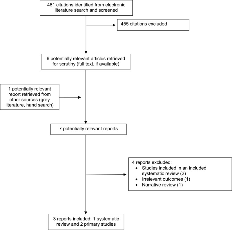 Acute ankle sprain in athletes: Clinical aspects and algorithmic approach