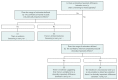 Fig. 4.4. Guideline statement decision tree.