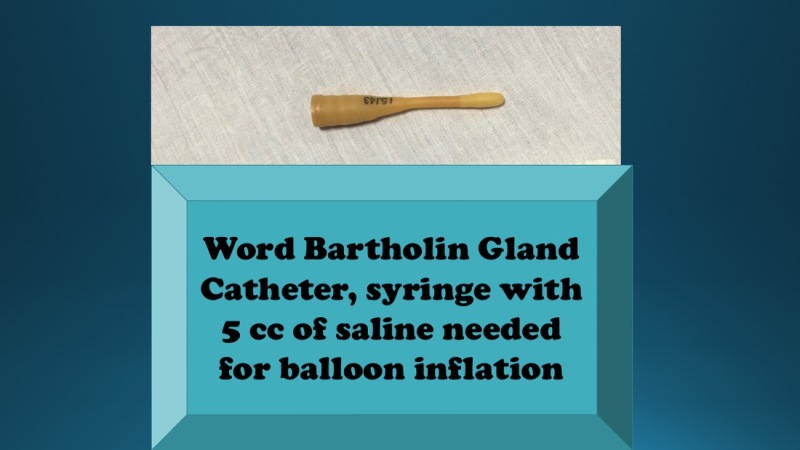 Figure Bartholin Gland Word Catheter Example Statpearls Ncbi Bookshelf 3545