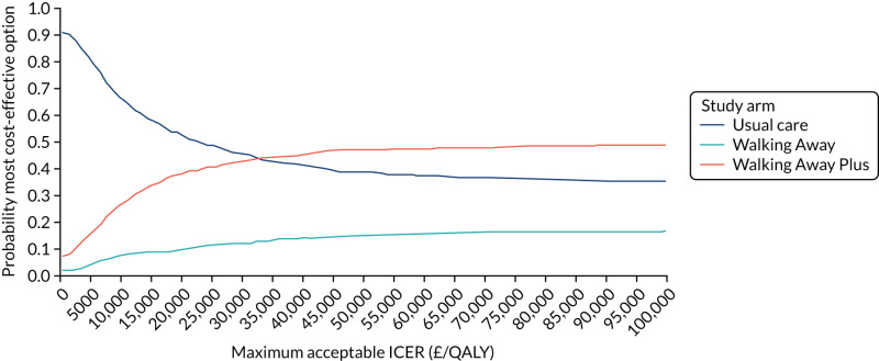 FIGURE 16. Cost-effectiveness acceptability curve (non-South Asian population).