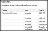 . Annals of tropical medicine and parasitology. Parasites. Annals Irop.  Med. cf rarasit Flate Y .;. Fix. 18 KiK. 1!» FiK. 20 Fig. 21 A SUDANESE  MADUROMVCOSIS. Please note that these images are extracted from scanned  page images that may have been