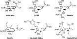 FIGURE 55.6.. Structure of neuraminidase inhibitors.