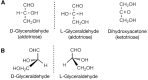 FIGURE 2.1.. Structures of glyceraldehyde and dihydroxyacetone.