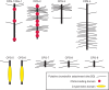 FIGURE 25.6.. Chondroitin proteoglycans (CPGs) of Caenorhabditis elegans.