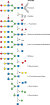 FIGURE 44.1.. Degradation of complex-type N-glycans.