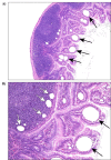 Figure 5