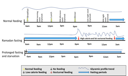 Diabetes Management During Ramadan Endotext NCBI Bookshelf