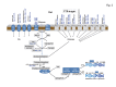 Figure 2: . Phosphoenol pyruvate (PEP)-dependent phosphotransferase (PTS) pathway and catabolite repression.